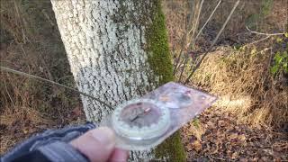 NATURAL NAVIGATION USING MOSS GROWING ON A TREE