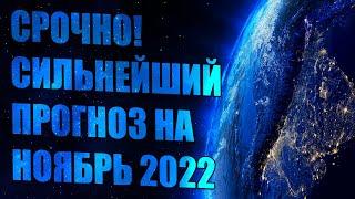 СРОЧНО! СИЛЬНЕЙШИЙ ПРОГНОЗ НА НОЯБРЬ 2022 | Абсолютный Ченнелинг