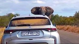 South Africa Today on 14 June 2025