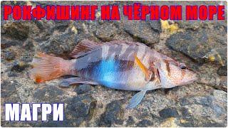 Рокфишинг на Чёрном море. Магри