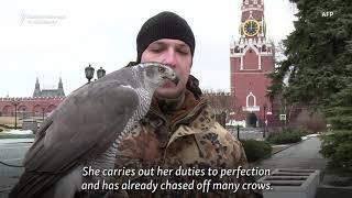 Russian Air Power: Birds Of Prey Guard The Kremlin