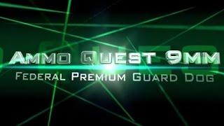 Ammo Quest 9mm: Federal Guard Dog tested in ballistic gel and through walls