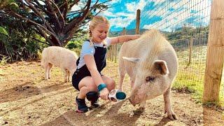 Ramraids go to the dogs - Kea Kids News