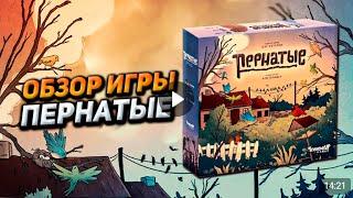 Обзор игры Пернатые