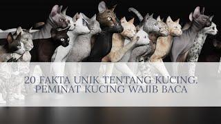 20 HAL UNIK TENTANG KUCING - PENCINTA KUCING WAJIB TAHU