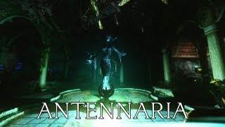 TES V - Skyrim Mods: Antennaria