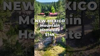 LAND for SALE in NEW MEXICO with Water & Power • LANDIO