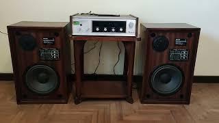 sintoamplificador/receiver Dynaco LR224A de mediados de los 70's fabricado en Argentina.