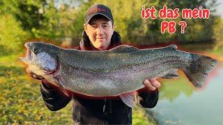 Forellenangeln im Herbst Lachsforellen Angeln Gummiköder Libra Lure Patricks Angelteiche Powerbait