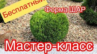 БЕСПЛАТНЫЙМАСТЕР-КЛАСС форма ШАР. ТЕХНИКА СТРИЖКИ