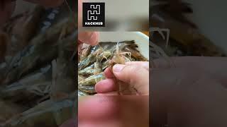 Pro Kitchen Hacks to Keep Food Fresh Longer