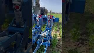 CARRÉ SAS - Bineuse ECONET avec double caméra KIPLINE  #agricole #culture #agriculteur #agriculture