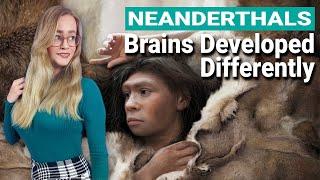 Neanderthal Brains Developed Differently