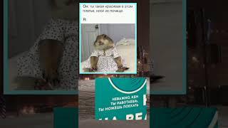 #мемы #мем #рек #shorts