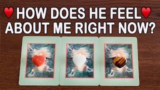 WHAT DOES HE/SHE THINK AND FEEL ABOUT ME RIGHT NOW?|Pick A Card|Tarot Reading (Timeless)