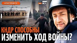 АУСЛЕНДЕР: сотни тысяч военных КНДР готовы к войне в Украине