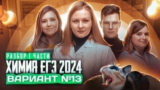 Вариант №13 ЕГЭ по ХИМИИ 2024, Степенин и Дацук | Анна, Влад, Варя и Катя с химфака МГУ