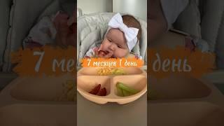 Тарелочка 7-месячного малыша  Яйцо - аллерген! #самоприкорм #blw #прикорм #6месяцев #7месяцев