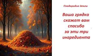 Весенняя заправка грядок органикой, для тех кто не успел сделать это осенью №434/24