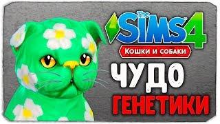 ЧУДО ГЕНЕТИКИ, НЯШНЫЕ КОТЕЙКИ - The Sims 4 "Кошки и Собаки"