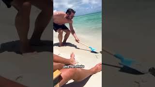 be careful with this animal at beach!