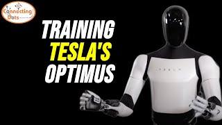 Training Humanoid Robots | OPTIMUS PRODUCTION DELAYED due to Insufficient Training Data?!?