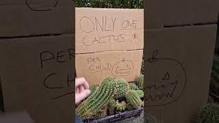 One Cactus per Child! ️ #halloween #Cactus #plants #garden #gardening