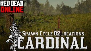 ► Red Dead Online - Cardinal flowers - When and Where to find