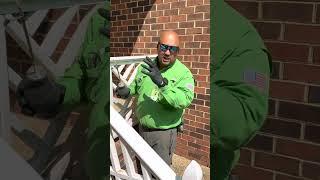Carpenter bee application dust & fill holes