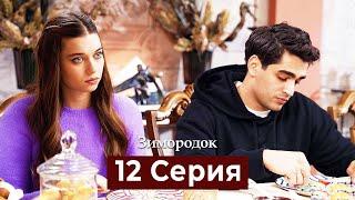 Зимородок 12 Cерия (Русский дубляж)