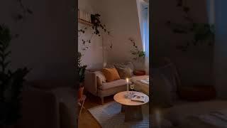 BEAUTIFUL ROOM HOUSE PLANTS