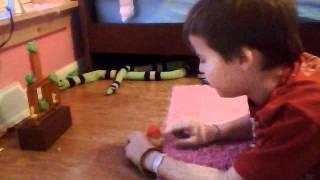 HOW TO PLAY ANGRY BIRDS THE BOARD GAME