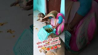 Vanar sena ki amazing funny video  #funnyshorts #funnymonky #funnyanimals #funny #cute