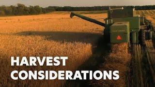 Harvest Considerations