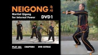 NEI GONG - Martial Arts Qigong (YMAA) Dr. Yang, Jwing-Ming