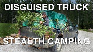 Disguised Truck Stealth Camping