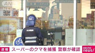 秋田市のスーパー侵入のクマ「箱わな」で捕獲　警察が確認　(2024年12月2日)