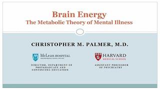 Dr. Chris Palmer presentation: Brain Energy, The metabolic Theory of Mental Illness