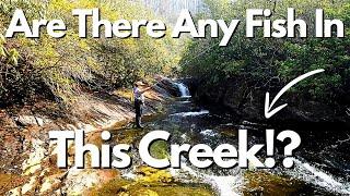 TENKARA FISHING IN NORTH CAROLINA WITH LADY TENKARA BUM!