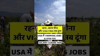 Usa Work Visa | How to get Usa Work Visa from India | Usa Work Visa