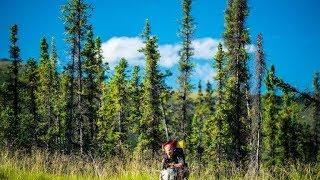 [HD] Im Zauber der Wildnis - Alaskas Majestät - der Denali Nationalpark (Doku)