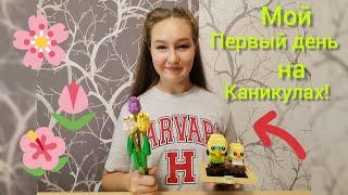 Сборка и обзор двух наборов легопервый день каникул!