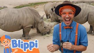 Blippi Explores a Safari Park | Learn About Animals For Kids | Educational Videos for Toddlers