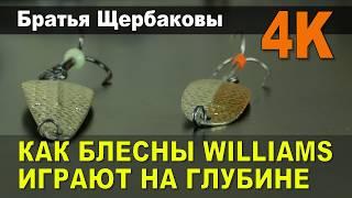 КАК БЛЕСНЫ WILLIAMS ИГРАЮТ НА ГЛУБИНЕ