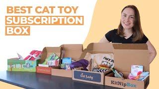 Best Cat Toy Subscription Box (We Tried Them All)