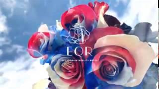 EQR 2020 Memorial Day! - Ecuadorian Quality Roses