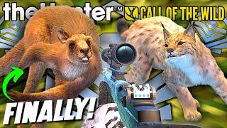 *HE DIDN'T TROLL?!* FINALLY a Diamond Kangaroo & HUGE Diamond Lynx! | Call of the Wild