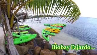 Biobay Fajardo kayak preparation