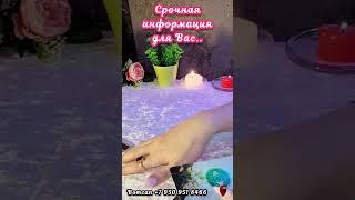СРОЧНАЯ ИНФОРМАЦИЯ ДЛЯ ВАС #таро #егочувства #суженый #будущиймуж #мужчинанапороге