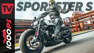 Harley-Davidson Sportster S Test 2021